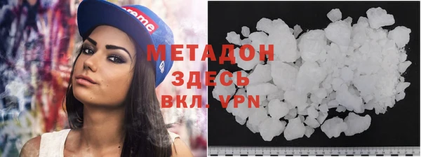 гидра Калининец