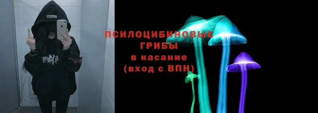 тгк Беломорск