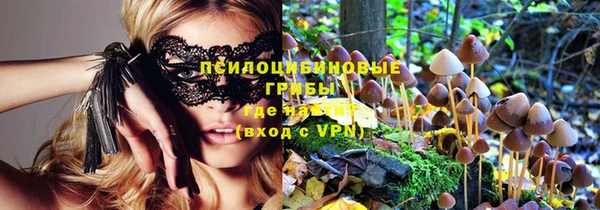 ПСИЛОЦИБИНОВЫЕ ГРИБЫ Белоозёрский