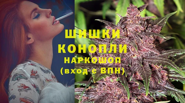 ПСИЛОЦИБИНОВЫЕ ГРИБЫ Белоозёрский