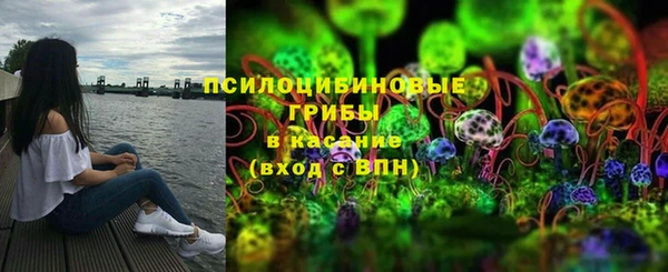 ПСИЛОЦИБИНОВЫЕ ГРИБЫ Белоозёрский