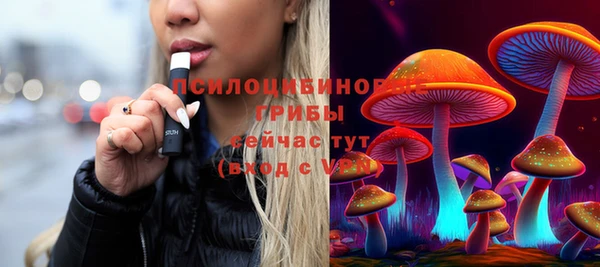 тгк Беломорск