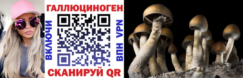 Галлюциногенные грибы Psilocybine cubensis где найти Нарьян-Мар